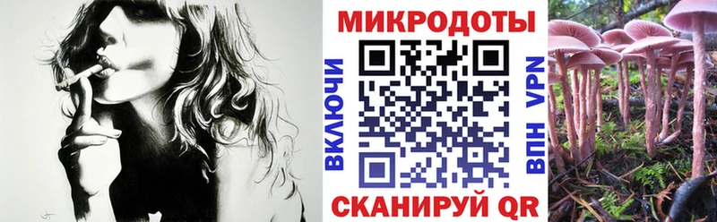 Купить где  Кинешма  Псилоцибиновые грибы ЛСД 